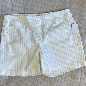 Westbound cream pinstriped shorts size 18 NWT